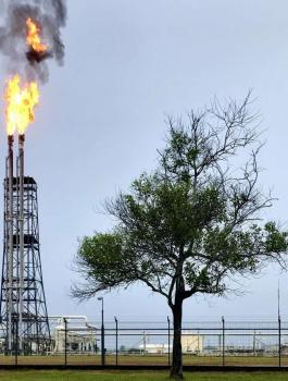 2560px-Seria_Oil_Refinery-scaled.jpg
