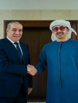 حسين الشيخ وعبد الله بن زايد