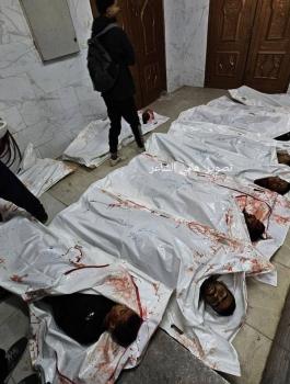 الشهداء في قطاع غزة