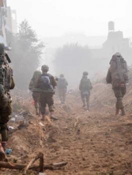 4c3s6850905b732ezp9_800C450 (1).jpg