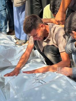 WafaImage (1).jpg-8638d7dd-93aa-4e13-9687-cbd0afecccf2.jpg