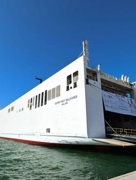 سفينة المساعدات الإماراتية ترسو في العريش