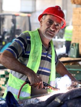 gaza-agriculture-palestine-greenhouses-family-farms-abdulrahman-0S3A6476-EDIT.jpg