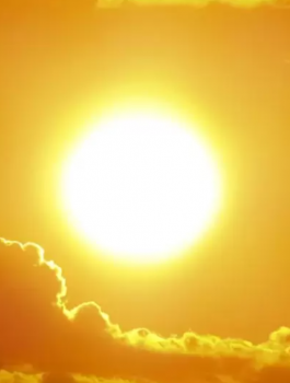لقطة الشاشة 2026-05-17 094149.png