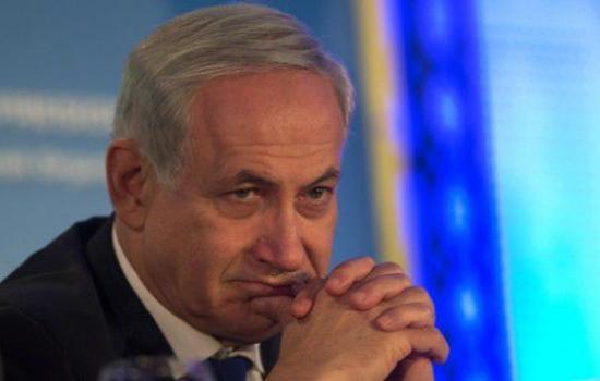 2bibi-articles-022114-1423584036.jpg