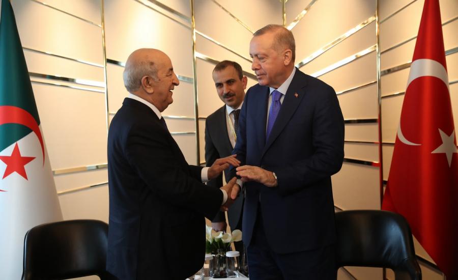 الرئيس التركي اردوغان والجزائر 