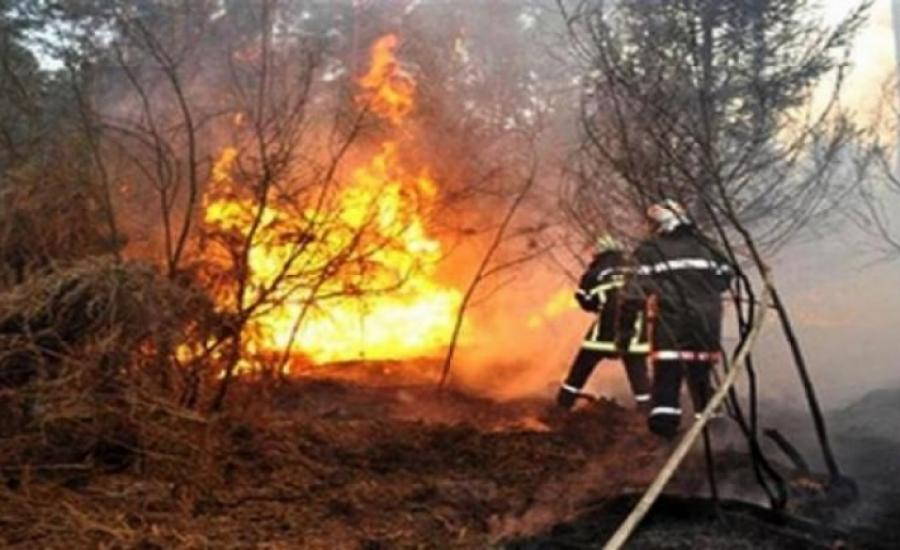 9d8f086826d373aae1154c3f7ddb4641_XL