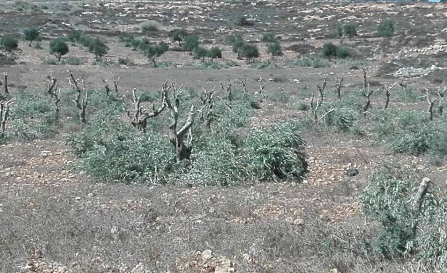 14cb5d03-603c-4ea7-bd98-4381a25910b3