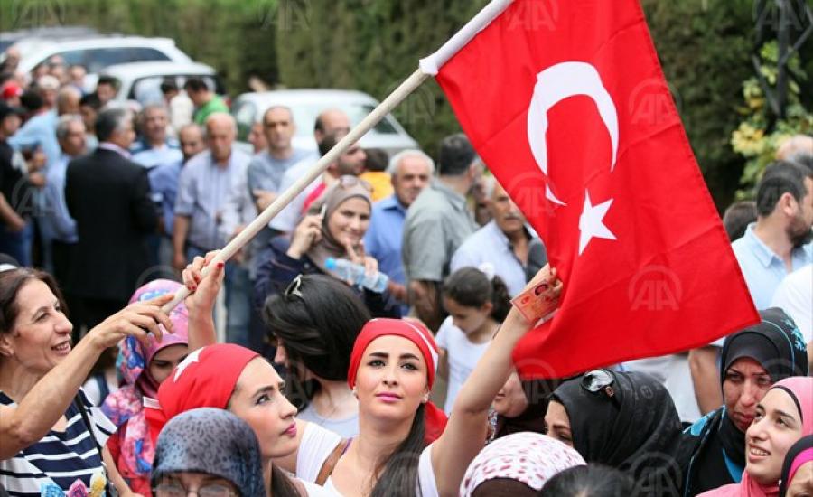 متوسط دخل الفرد في تركيا 