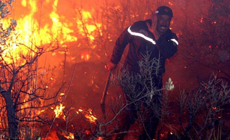 الحرائق تقضي على مساحات شاسعة من الغابات والمحاصيل بالجزائر