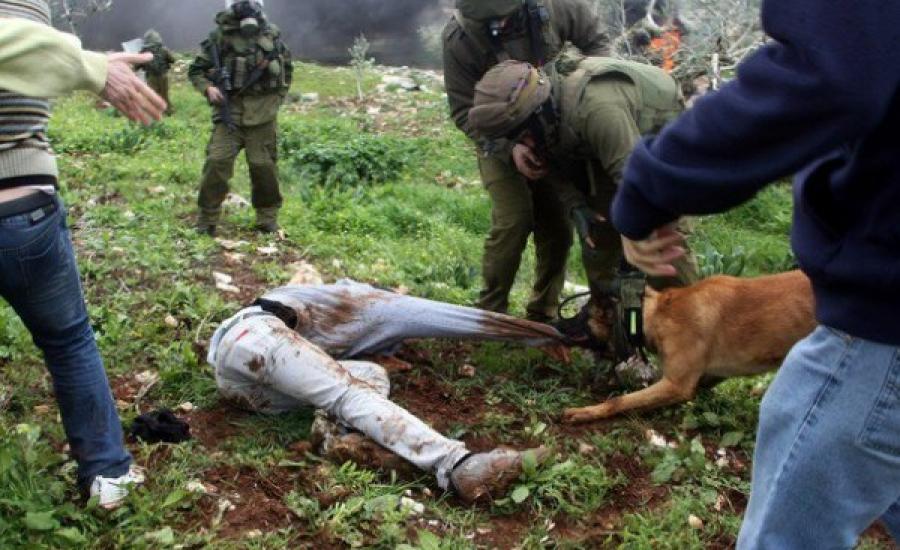 فلسطيني يقاضي شركة هولندية تورد كلابا لجيش الاحتلال 