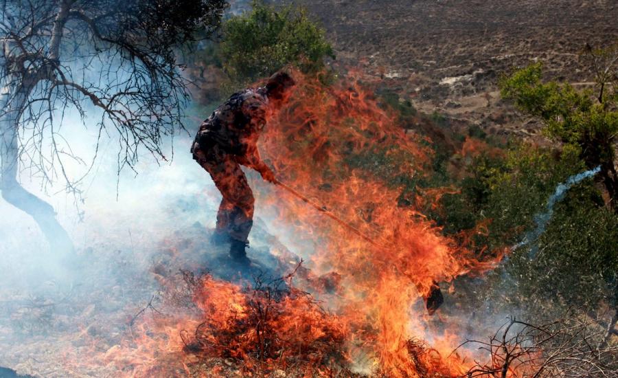 المستوطنون يحرقون اشجار زيتون في الضفة الغربية 