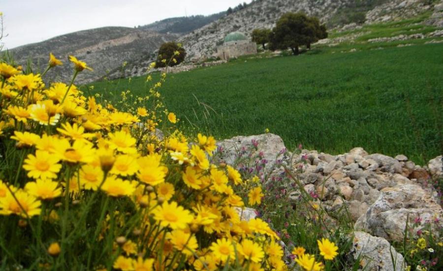 حالة الطقس: أجواء ربيعية لطيفة اليوم وغدا 