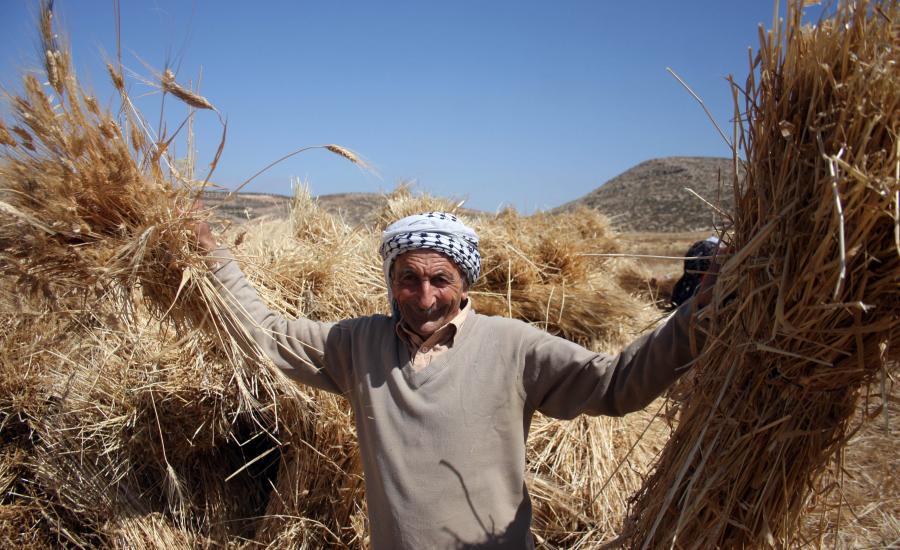 وزير الزراعة الفلسطيني 