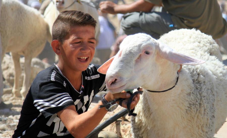 فلكيا- عيد الأضحى في 1 أيلول