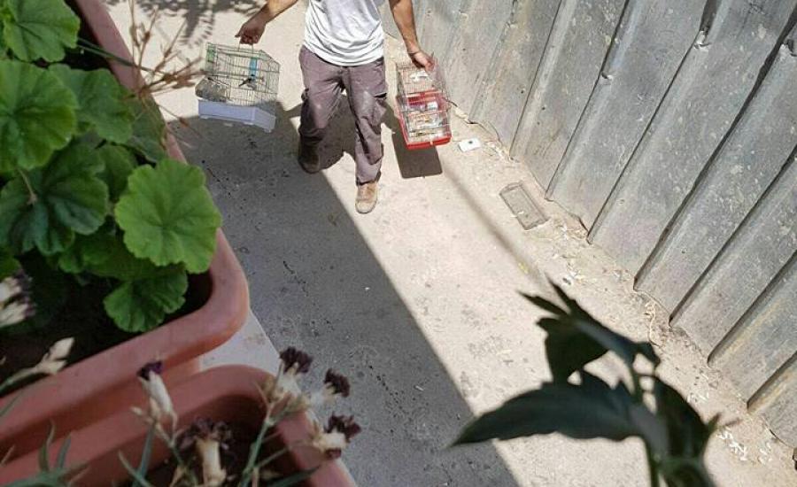 الاحتلال يصادر عصفورين وقرن غزال من مقدسي