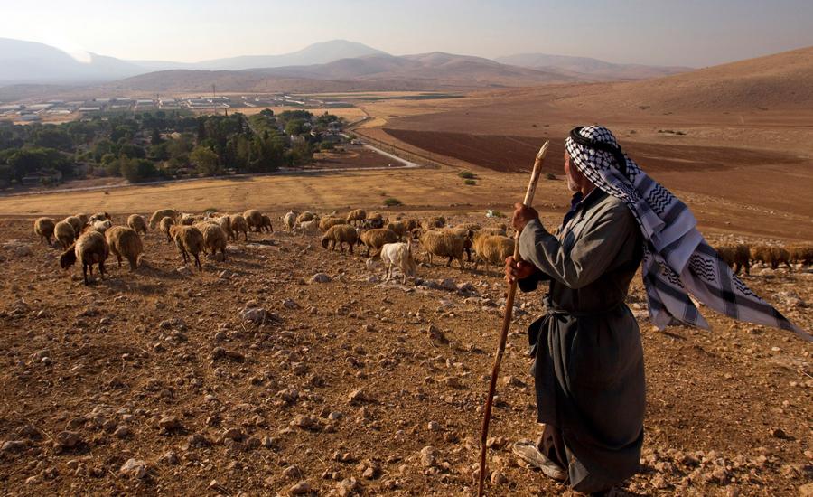 الاستيلاء على اراض فلسطينية في يطا