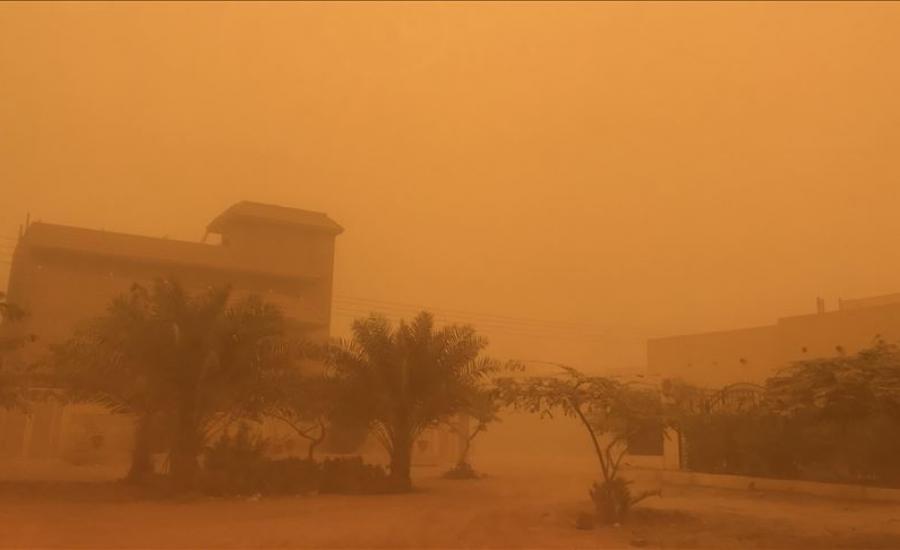 عاصفة التنين في مصر 