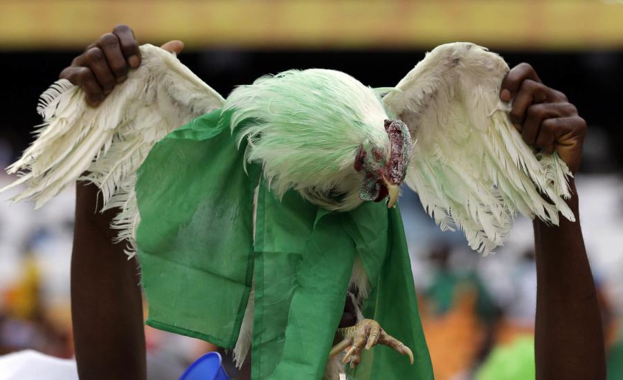 رفض طلب نيجيري بإخال الدجاج الحي إلى ملاعب المونديال