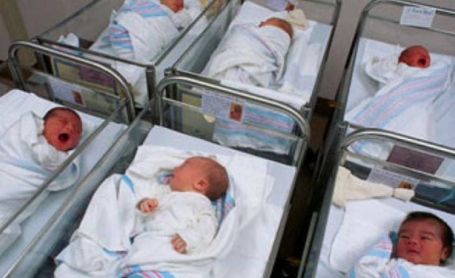 إحصائية: 4140 مولودًا جديدًا في قطاع غزة و6 مواليد كل ساعة