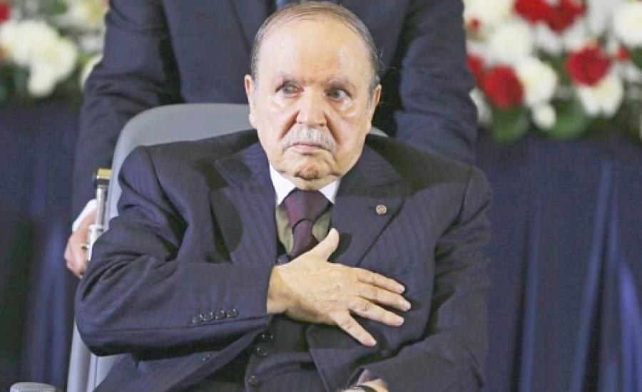 17773548011552297255