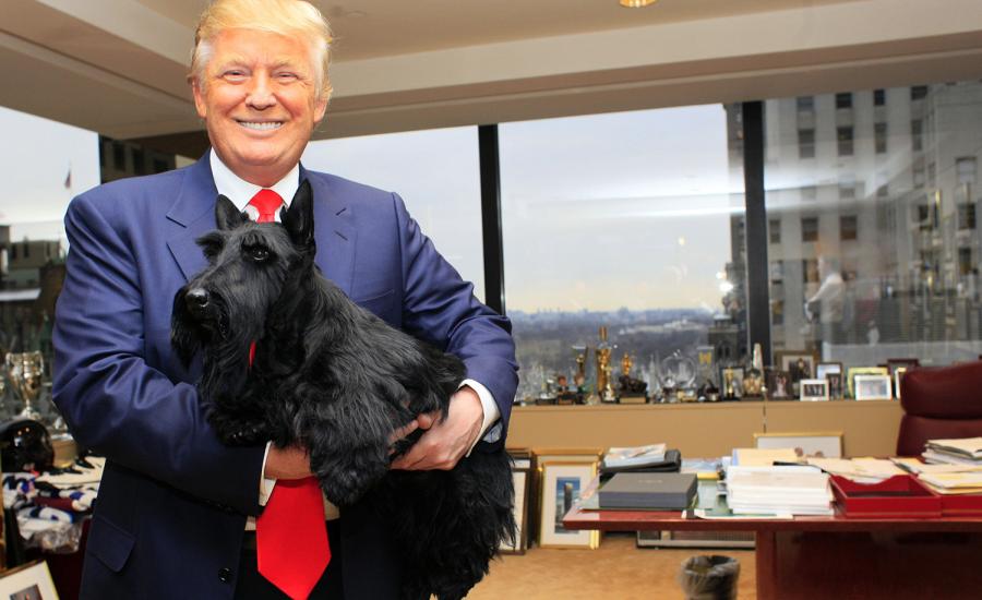 صحيفة أمريكية تنصح ترامب باقتناء كلب ليساعده على التخفيف من غضبه!