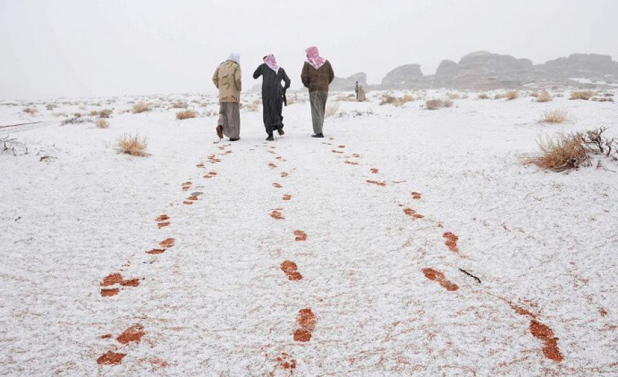 الثلوج في السعودية 