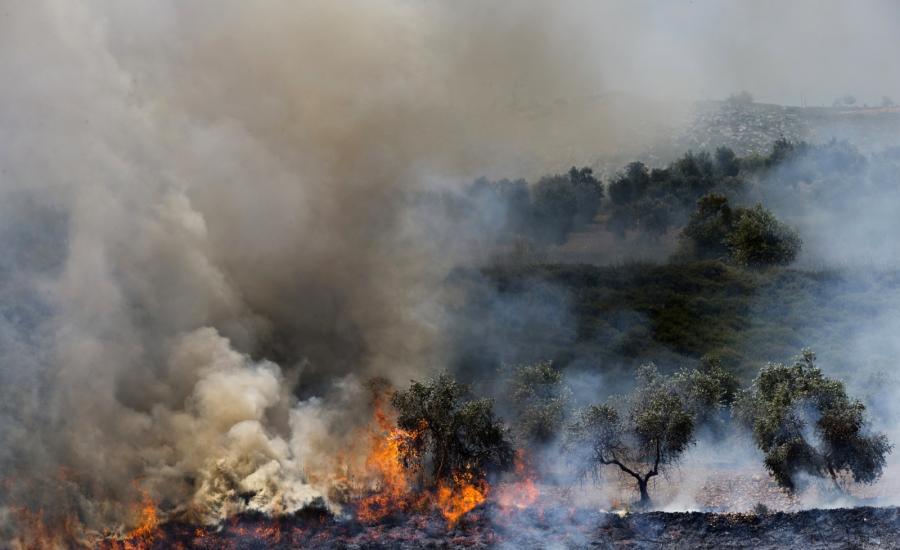 مستوطنون يشعلون النيران في أراضي في صفا