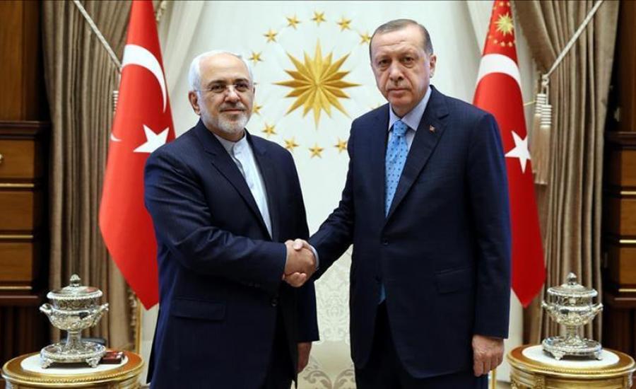 ظريف يلتقي أردوغان لبحث الأزمة السورية 