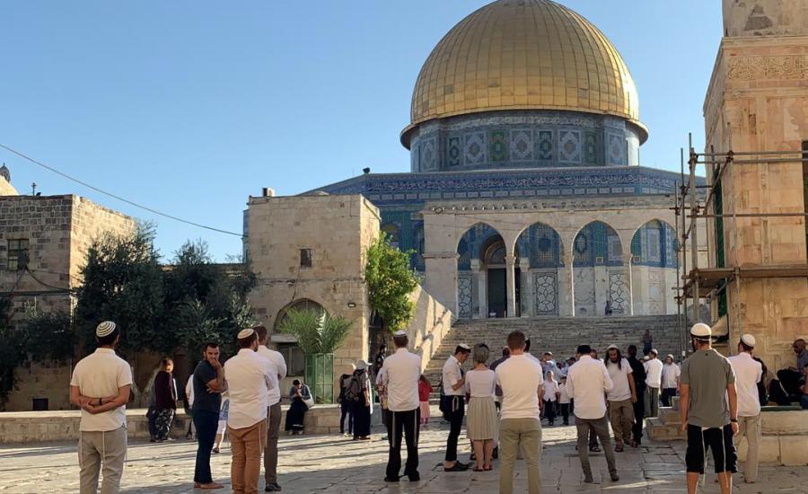 09a02d77-cf7a-4bbe-a48e-5e49cb7fdd24