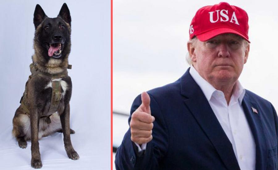 ترامب والكلب البطل 