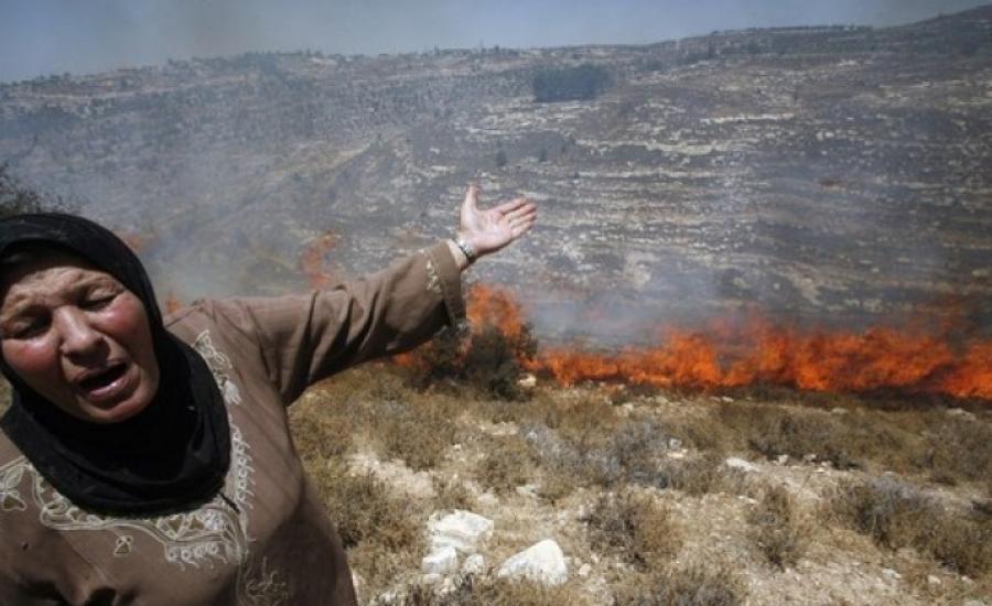 مستوطنون يحرقون مساحات شاسعة من أراضي قرية بورين
