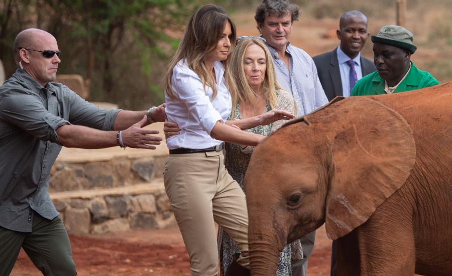 melania-trump-bumped-by-elephant-in-kenya
