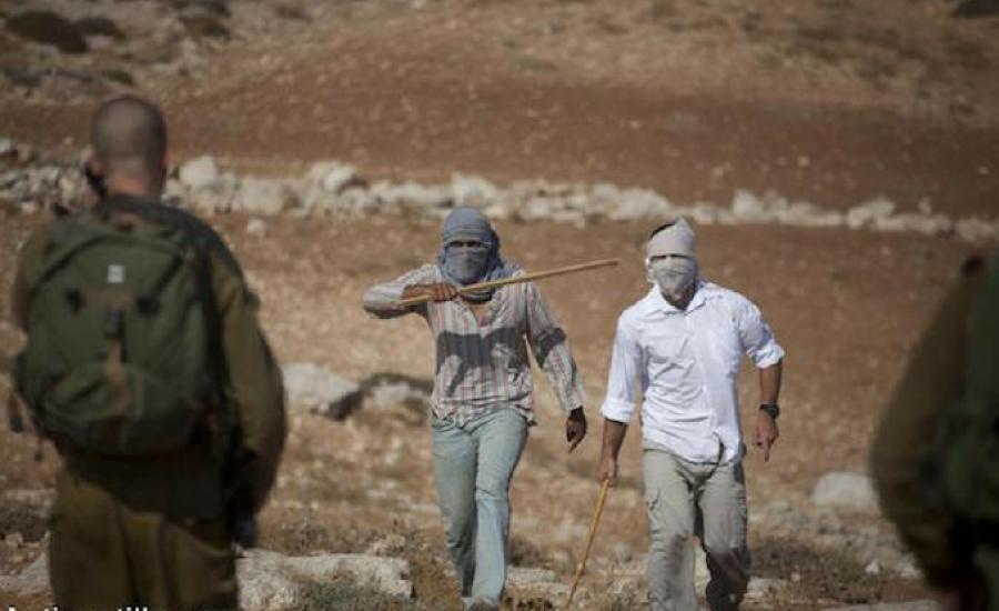 المستوطنون يهاجمون الفلسطينيين جنوب جنين 
