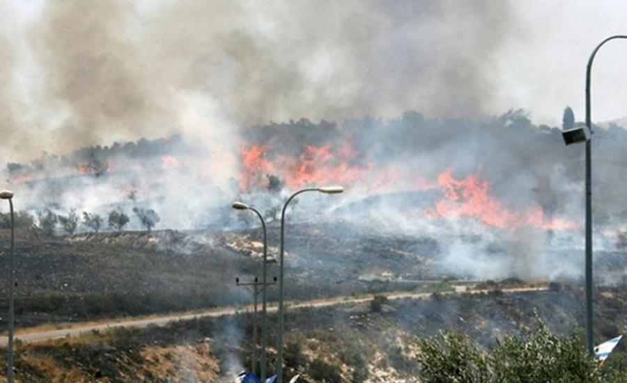 مستوطنون يحرقون اراضي المواطنين في الخليل 