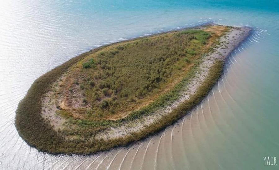 ظهور جزيرة في بحيرة طبريا 