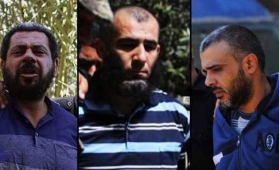 تنفيذ حكم الإعدام بقتلة فقها أمام 1000 بغزة