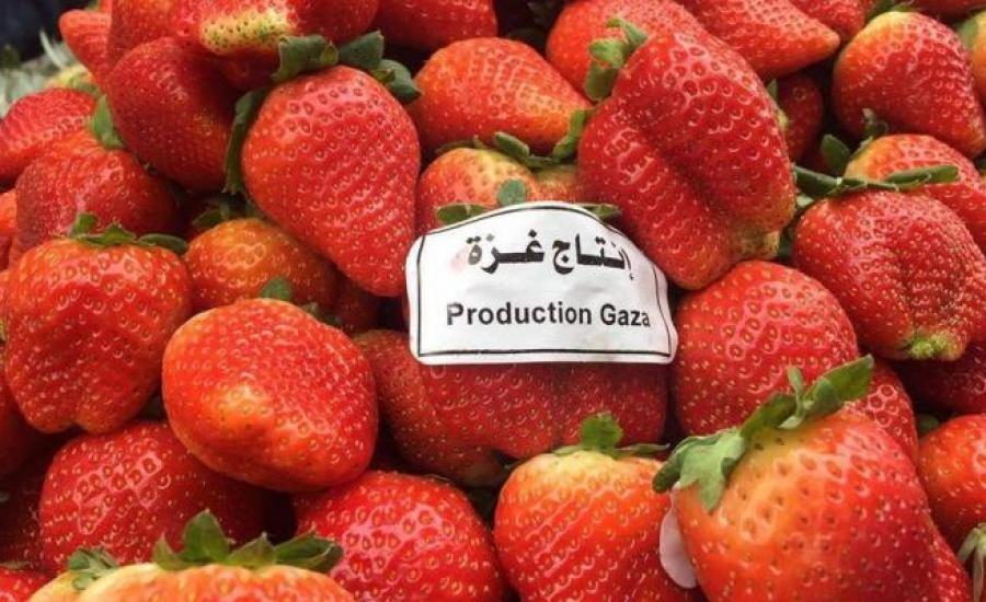 استيراد منتجات زراعية من غزة 