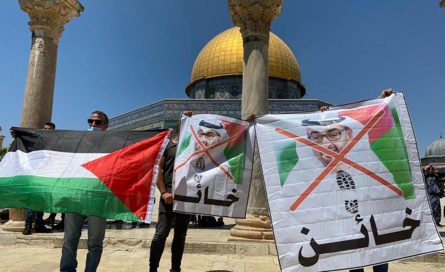 809e657a-dd22-415c-bce1-2e12fcb7db42