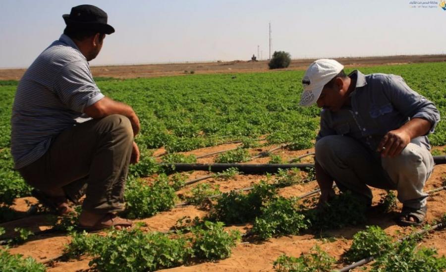 صرف تعويضات للمزارعين الفلسطينيين 