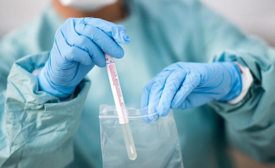 154-171136--_15f5b778878fa5