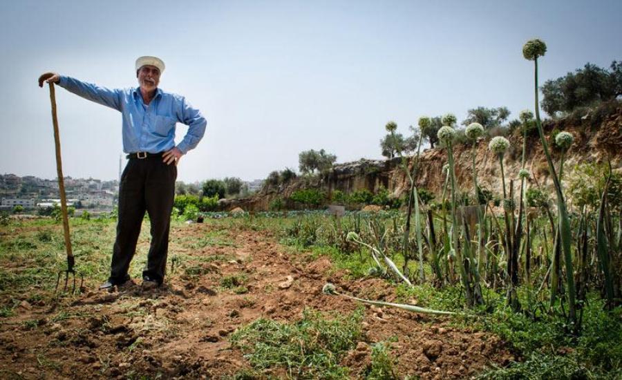 وزير الزراعة في فلسطين والسودان 