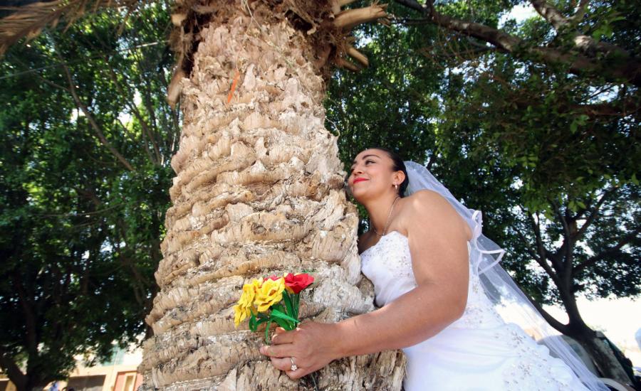 نساء يتزوجن الأشجار