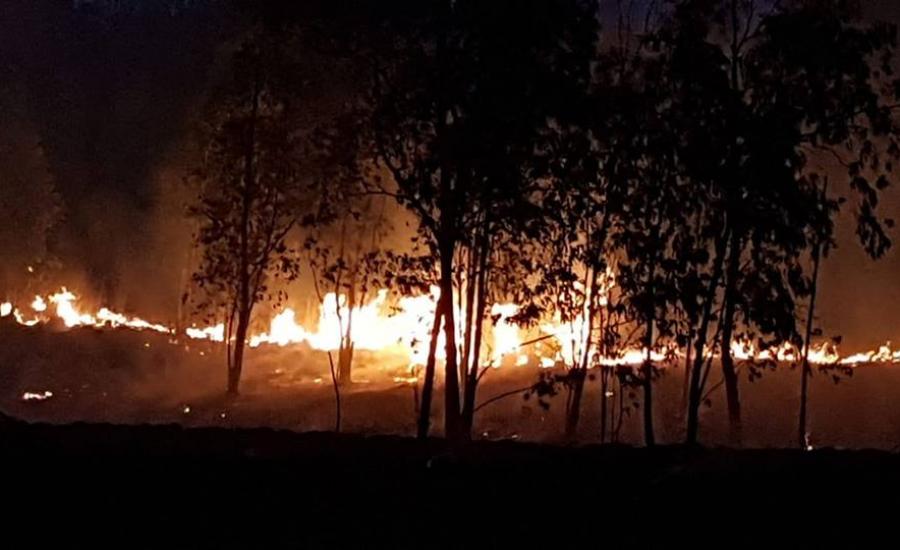 21 حريقاً داخل المستوطنات بفعل الطائرات الورقية الحارقة وفشل إطفاء ثلاثة منها