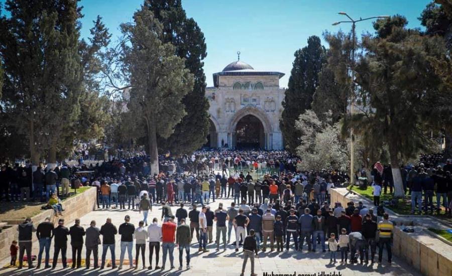 88395992_3735285426545870_779871992579883008_n