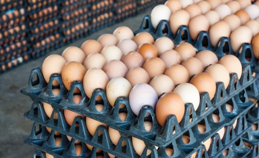 اغلاق محل تجاري رفع سعر البيض في نابلس 