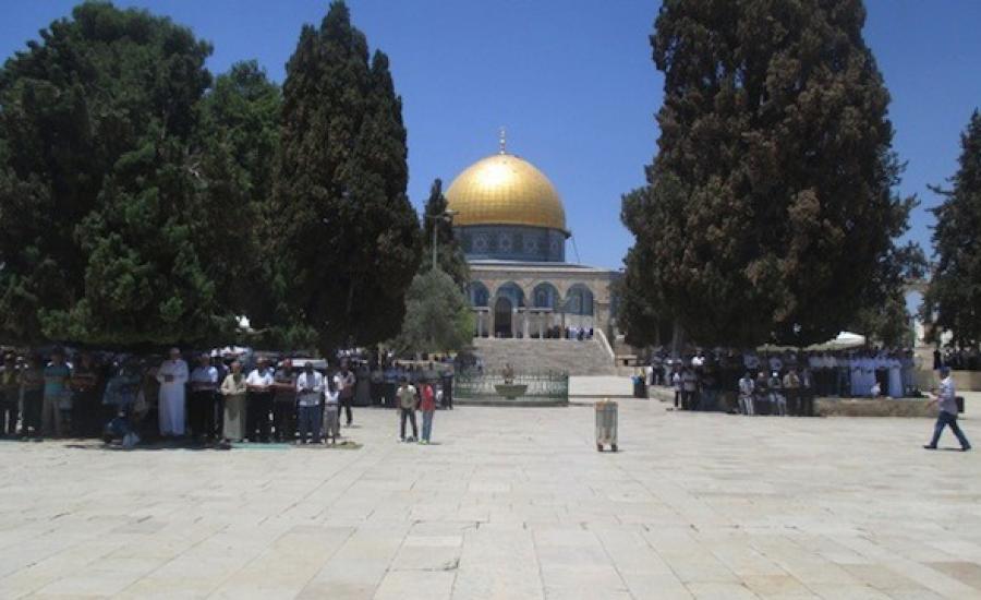 قطع اشجار المسجد الأقصى 