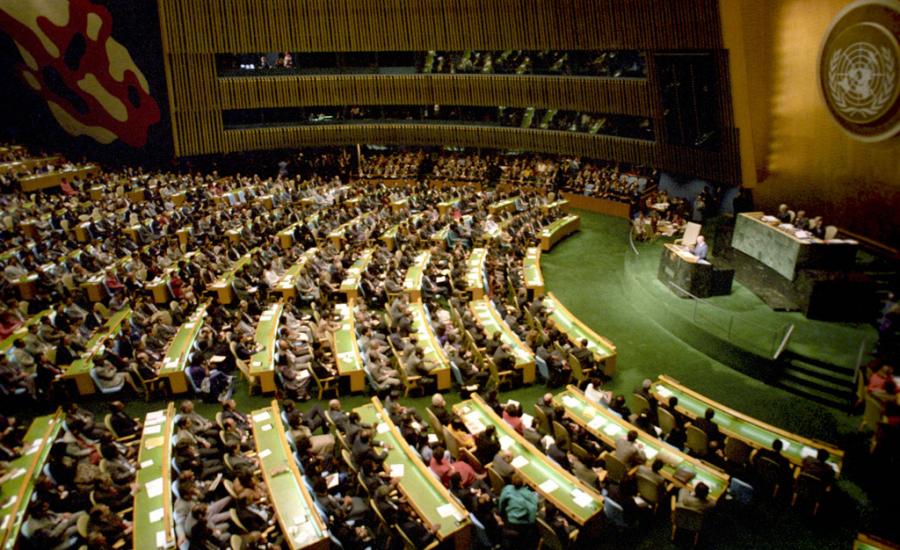 الامم المتحدة 