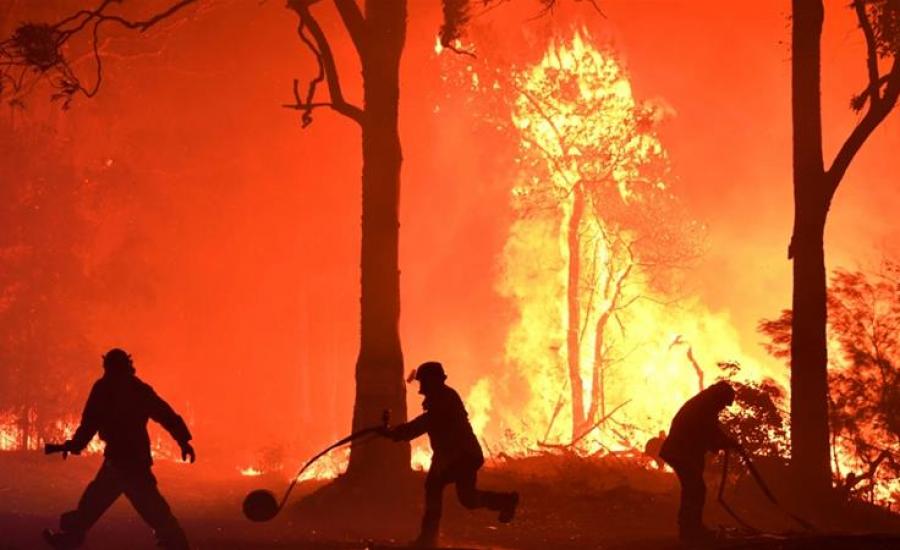 استراليا والحرائق 