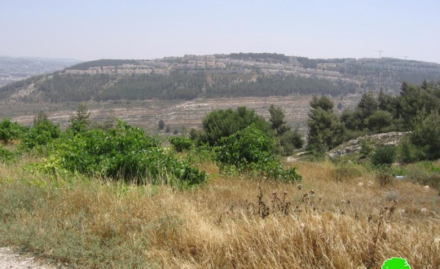 شركة إسرائيلية تحاول الاستيلاء على أراض في قرية الولجة